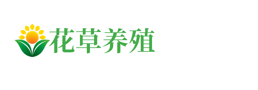 江西省吉安市永丰县循圣音响合伙企业,咸阳江西省吉安市永丰县循圣音响合伙企业